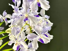 -北京植物园-展览温室