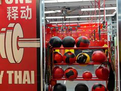 -Stone Motion Fitness 释动健身