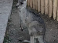 -鄂尔多斯野生动物园