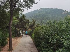 -青岛大珠山景区