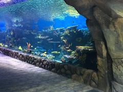 -华夏文旅海洋公园