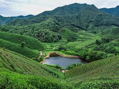 -龙坞茶村