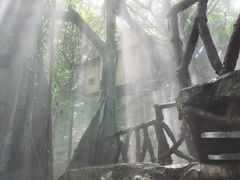 -青青世界