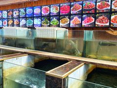 菜单-巩本明鱼屋子
