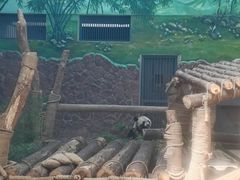 -黔灵山公园