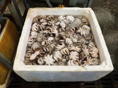 -众彩物流水产市场