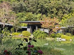 -云溪植物园