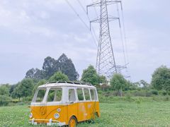 -紫颐香薰山谷景区