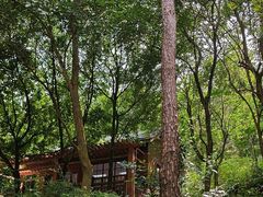 -广州白江湖森林公园