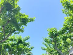 -上海交通大学董浩云航运博物馆