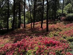 -临平公园(临平街道)