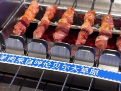 -很久以前羊肉串(清河店)