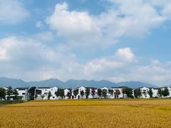 -东梓关景区村庄