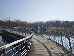 -西湖风景区-江洋畈生态公园