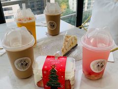 -Husky Go! 哈士奇体验馆·宠物咖啡厅狗咖