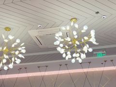 -金戈戈香港豉油鸡(南山海岸城店)