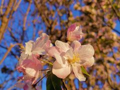 -济南方特东方神画