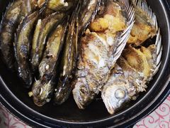 -霞海鸭仔饭店(海滨大道北店)