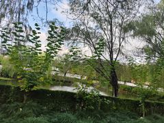 -共和国摇篮旅游区-红井景区