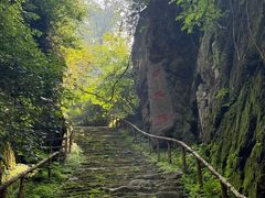 -天女山森林公园