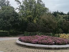 -嘉定紫藤园