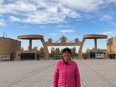 -金塔沙漠胡杨林景区