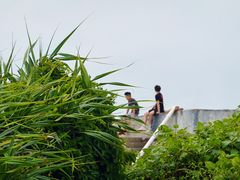 -硇洲岛旅游区