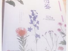 -今日陶艺(富力广场店)