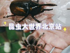 -国瑞购物中心