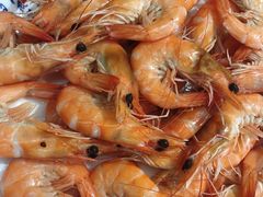 -北戴河庆山饭店·海鲜砂锅粥(北戴河黑石路店)