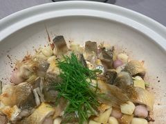 -子福慧(虹桥店)