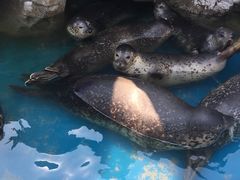 -华夏文旅海洋公园