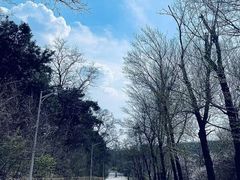 -棋盘山风景区