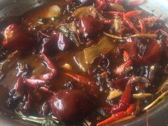 -迎燕阁烤羊腿(二环南路店)