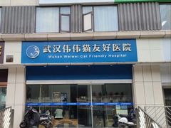 -伟伟宠物医院·瑞派猫友好医院·猫科(光谷店)