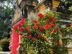 -西双版纳总佛寺