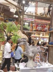 -卡通尼·Safari非洲探索乐园·生日会(金桥国际商业广场店)