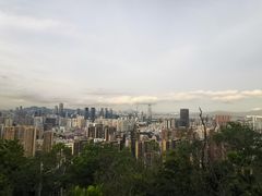 -大东北首席烤冷面(常兴路店)