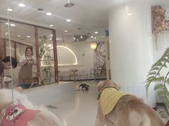 -共舞时光猫咖·狗咖(新街口店)