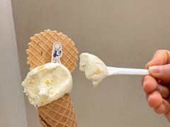 -海比甜店·意式手工冰激淋happy habit gelato