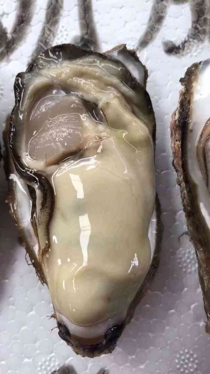 不能再值的小众海鲜市场