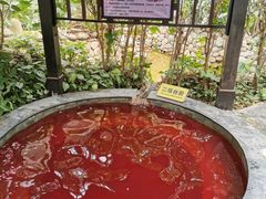 -嘉和K6温泉微度假