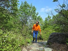 -阳台山自然风景区