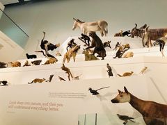 -墨尔本博物馆(Melbourne Museum)