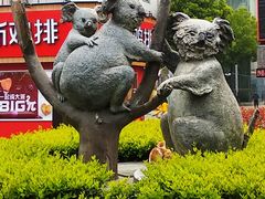 -澳洲广场
