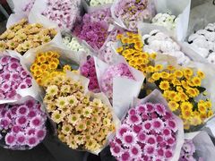 -循礼门鲜花花市(武汉循礼门店)