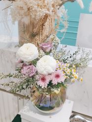 -YESIDO椰岛美容