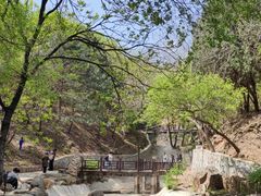 -北京西山国家森林公园