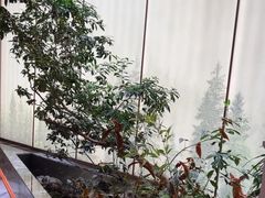 -双湖宴·湖北菜(文化路店)