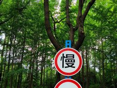 -昆山城市生态森林公园